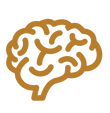 Supports cognitive and brain health