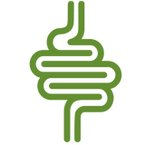 Digestive Support