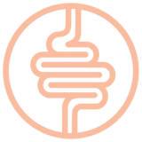 Digestive Support